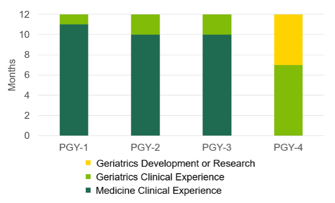 Stacked bar chart comparing the number of months spent in Medical Clinical Experience, Geriatrics Clinical Experience, and Geriatrics Development or Research across PGY-1, PGY-2, PGY-3, and PGY-4. The first three years are dominated by medical clinical experience with minor geriatrics exposure, while PGY-4 shifts heavily toward geriatrics clinical and development or research training.