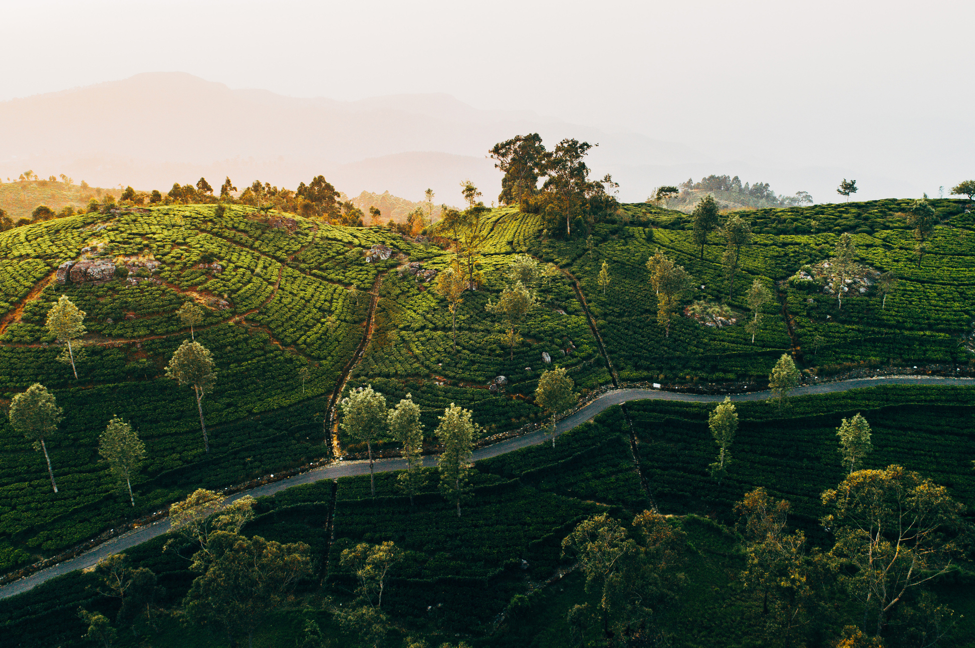 Sri Lanka