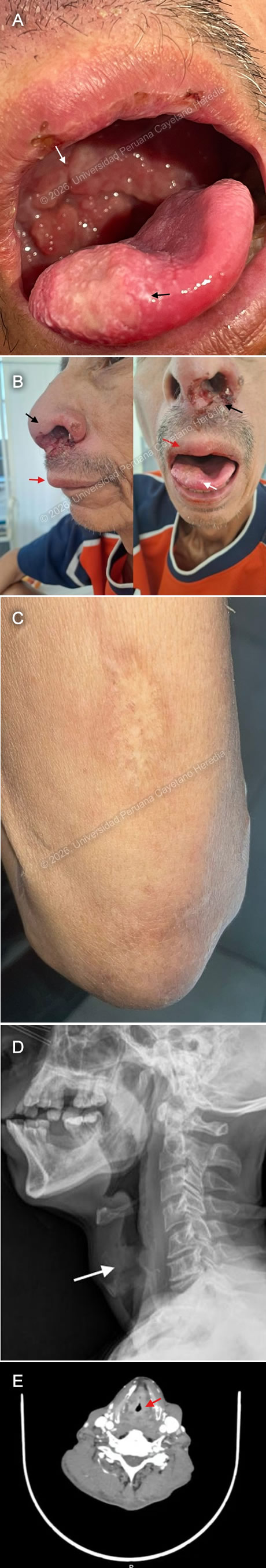 Image for Case 2026-2