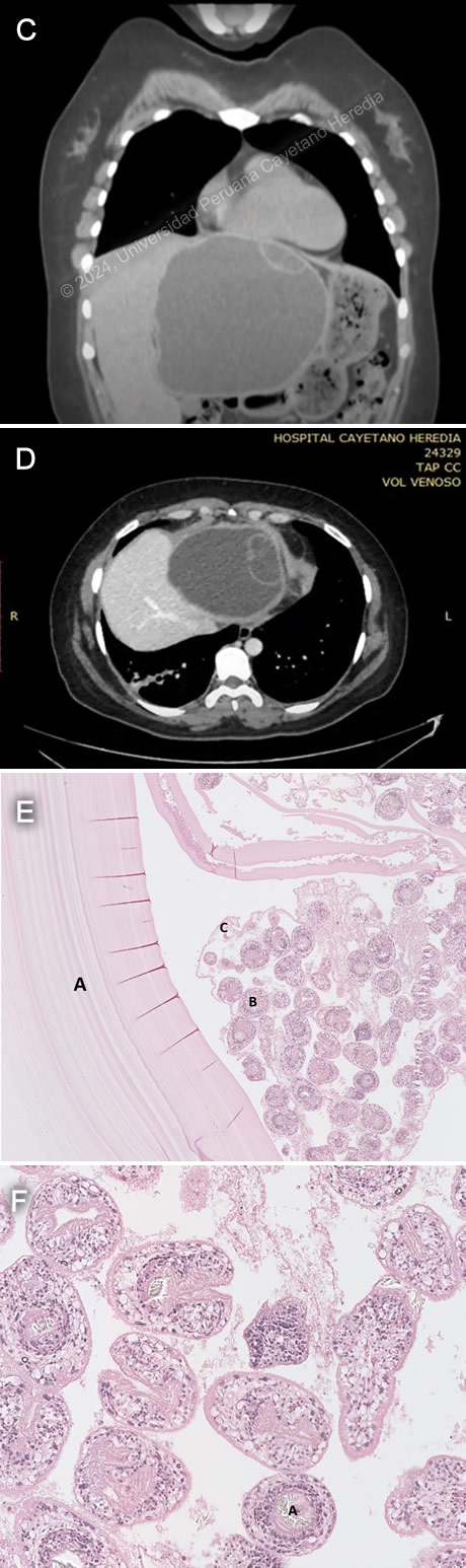 Images for Case 2024-5