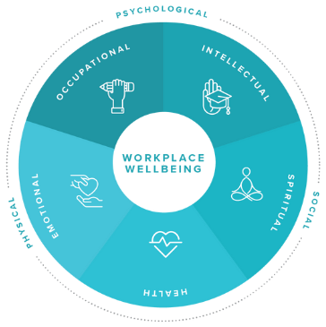 office of wellness white 02