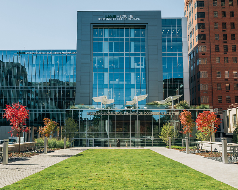 group of students studying