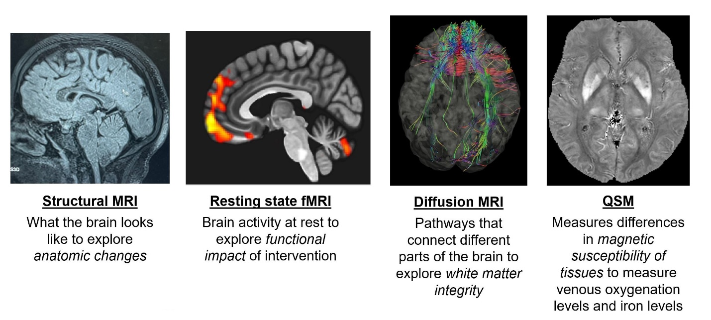 Cancer and Cognition 2