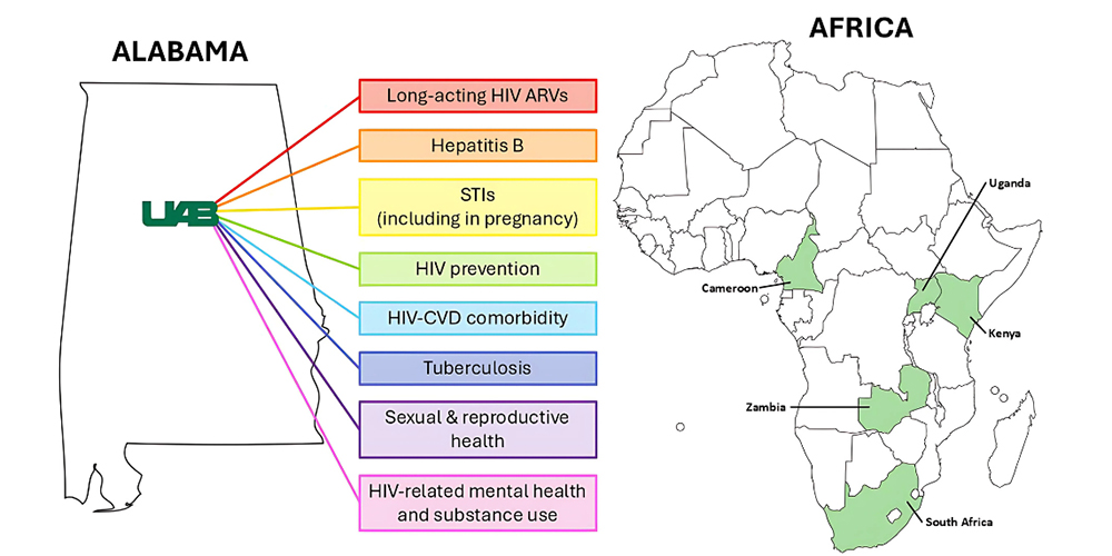 Global Health ID Research Focus Areas 