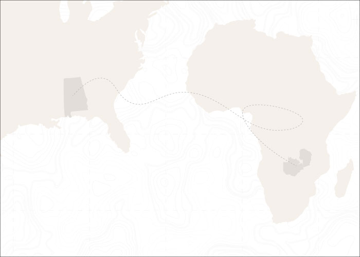 Africa Alabama 700x500