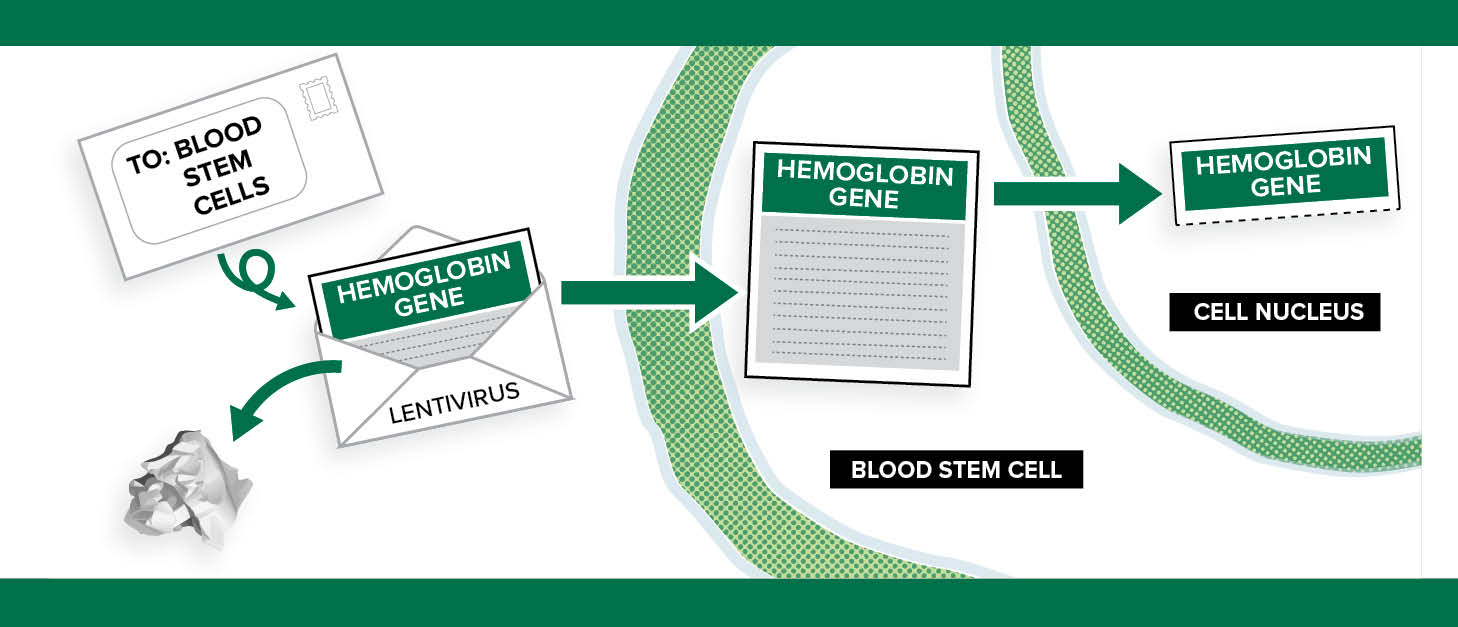 gene infographic