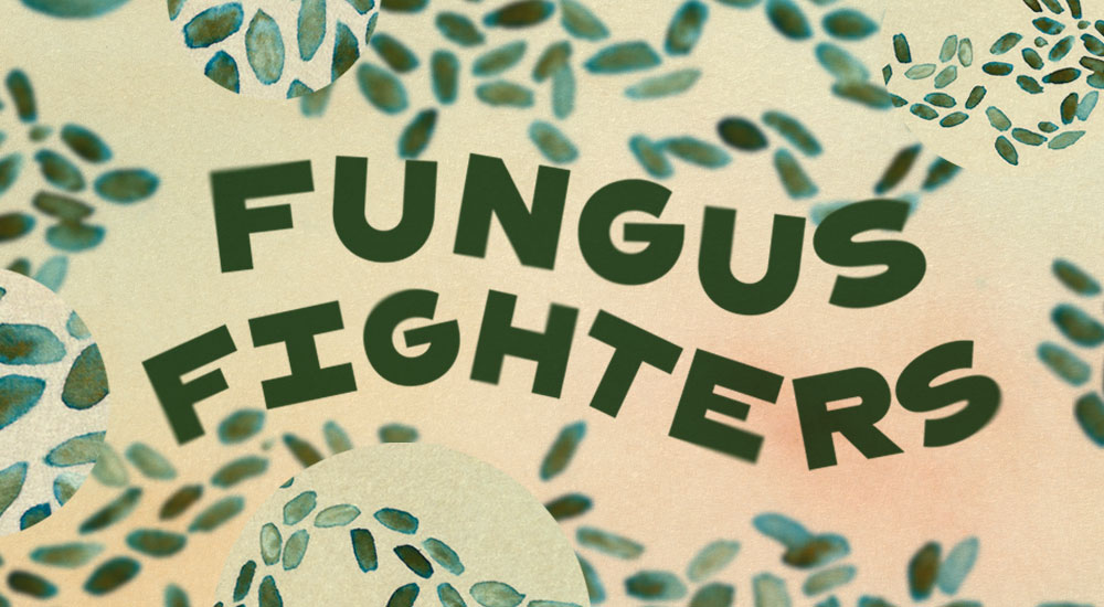 Fungus Fighters