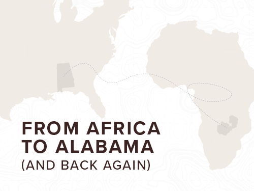 From Africa to Alabama (and Back Again): Grant leverages “reverse innovation” to reduce alcohol abuse and improve HIV outcomes abroad and at home