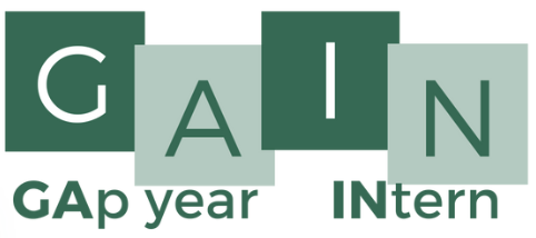 Gap Year Internship