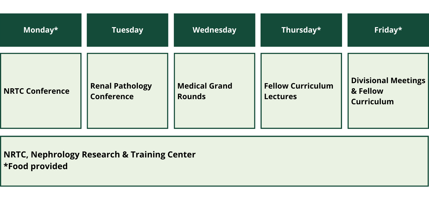 Noon Conference Schedule