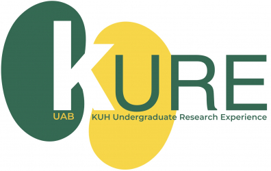 Kidney, Urology, and Hematology Undergraduate Research Experience (KURE)