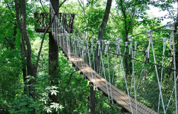 Red Mountain Park