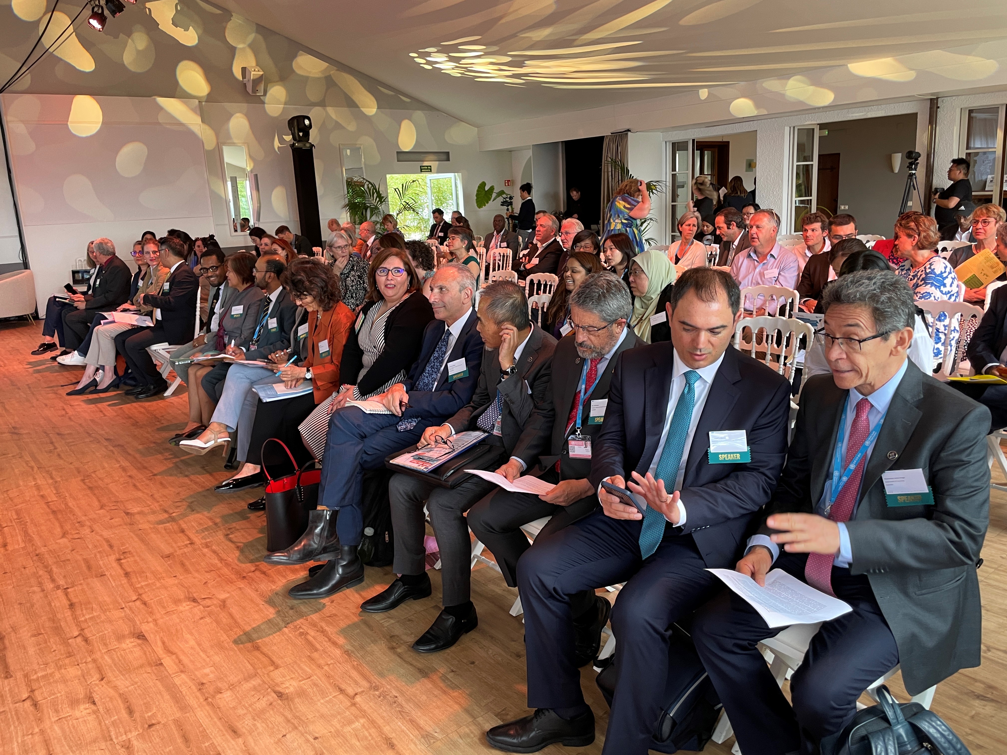 Attendees at the side event