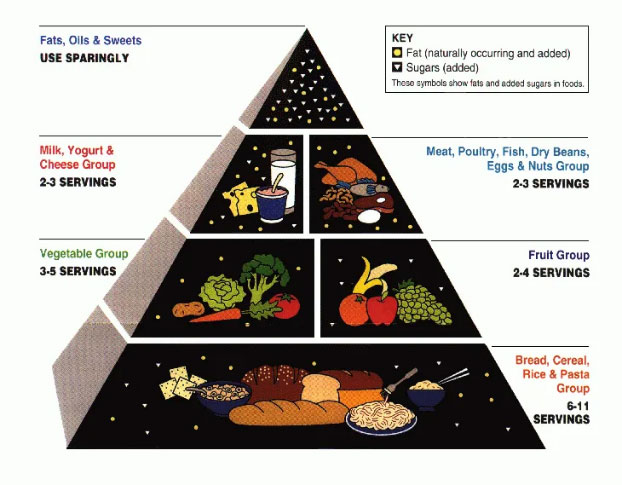 food pyramid 1992