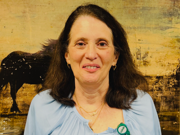 Headshot of a person with shoulder-length dark hair wearing a light blue blouse and layered necklaces, standing in front of a large artwork featuring a dark horse against a warm-toned background.