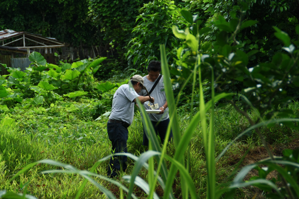 Researchers with the Navy Medical Research Unit catching mosquito larvae