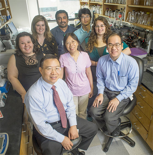 long zheng lab