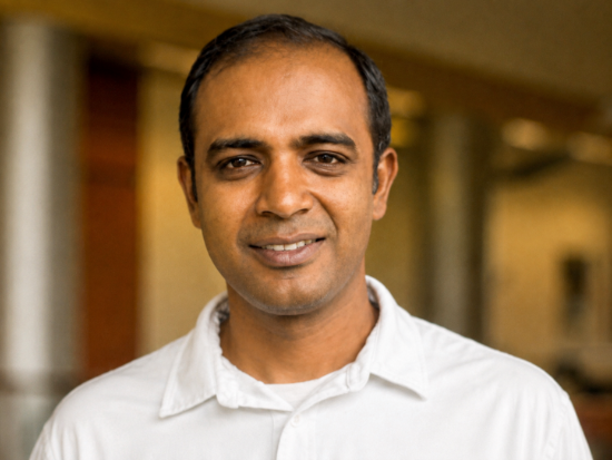 Professional headshot of Palaniappan Sethu, Ph.D.