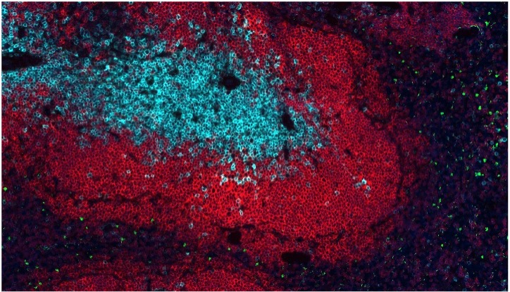 A visualization of COMET results, containing red and blue shapes.