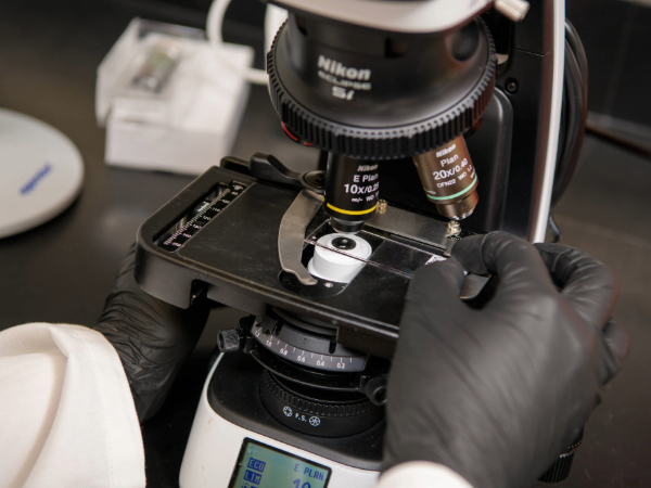 Slide on microscope