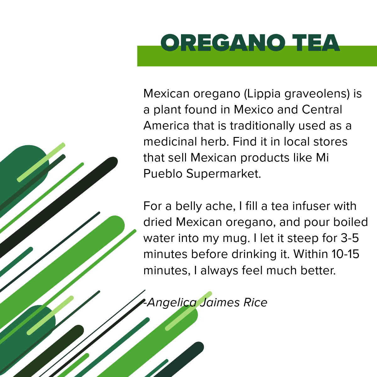 Oregano tea