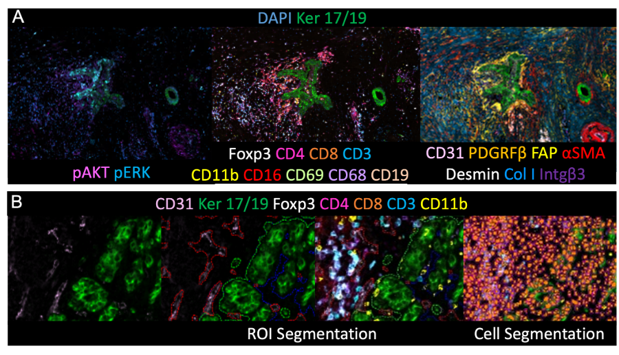 A grid of images containing visualizations of COMET results.