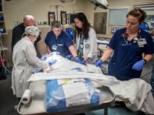 Standard therapy used in pediatric cardiac ICU challenged by study in NEJM