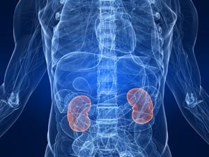 Genetic defense mechanism may offer biological clue to racial disparities in kidney disease