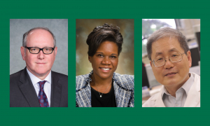 Three faculty honored with endowed chair or professorship in the Heersink School of Medicine