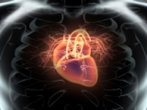 New study compares different approaches for stroke prevention in patients with non-valvular atrial fibrillation