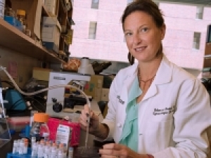 Using epigenetics to help the immune system fight ovarian cancer