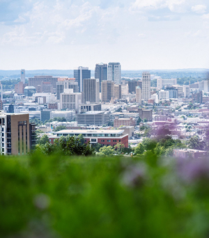 Student Insight: Birmingham neighborhoods