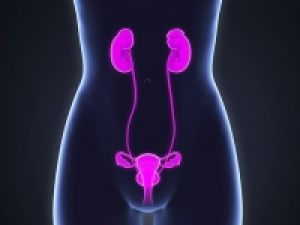 Paradigm-changing clinical trial underway to better identify ureter during pelvic surgery