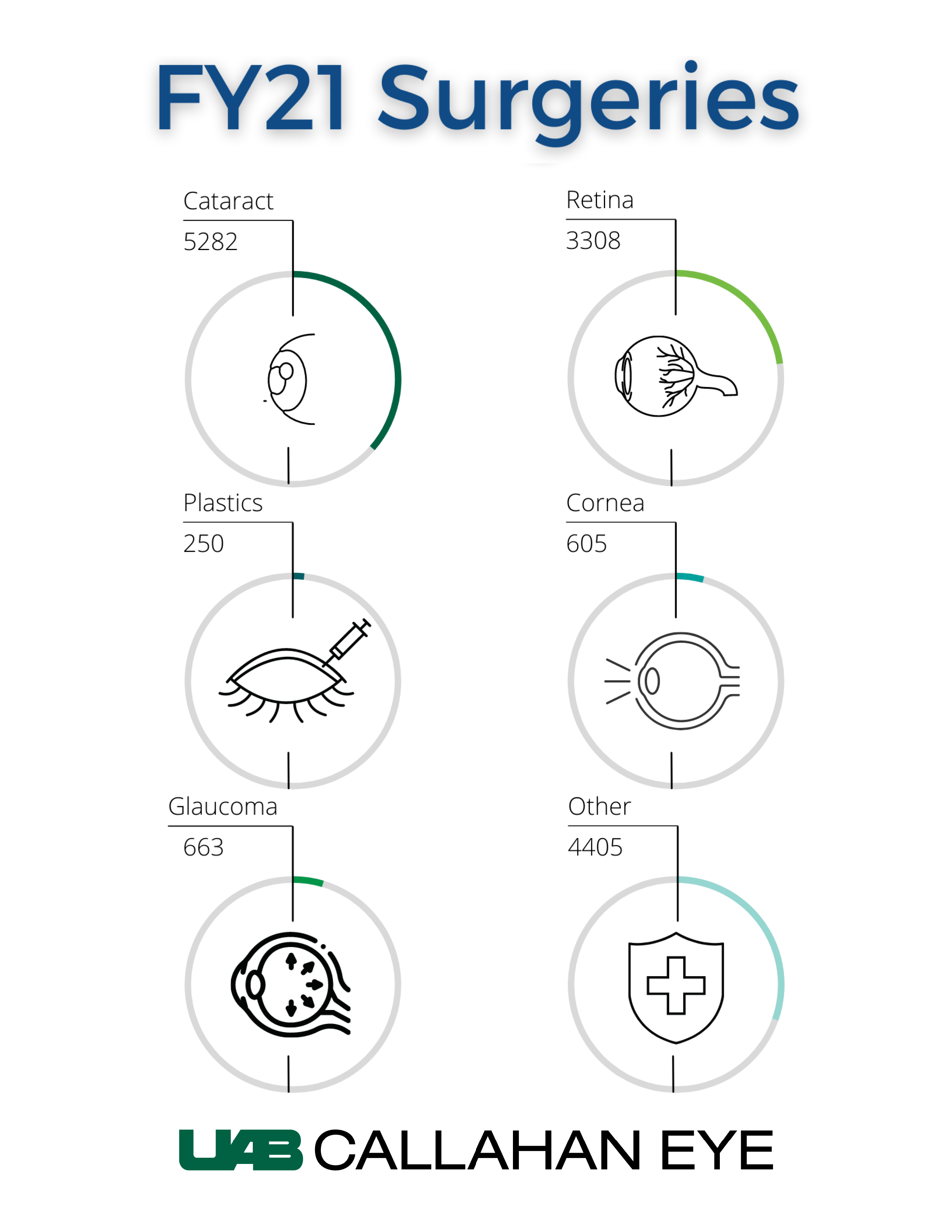 FY21 Surgeries by Type