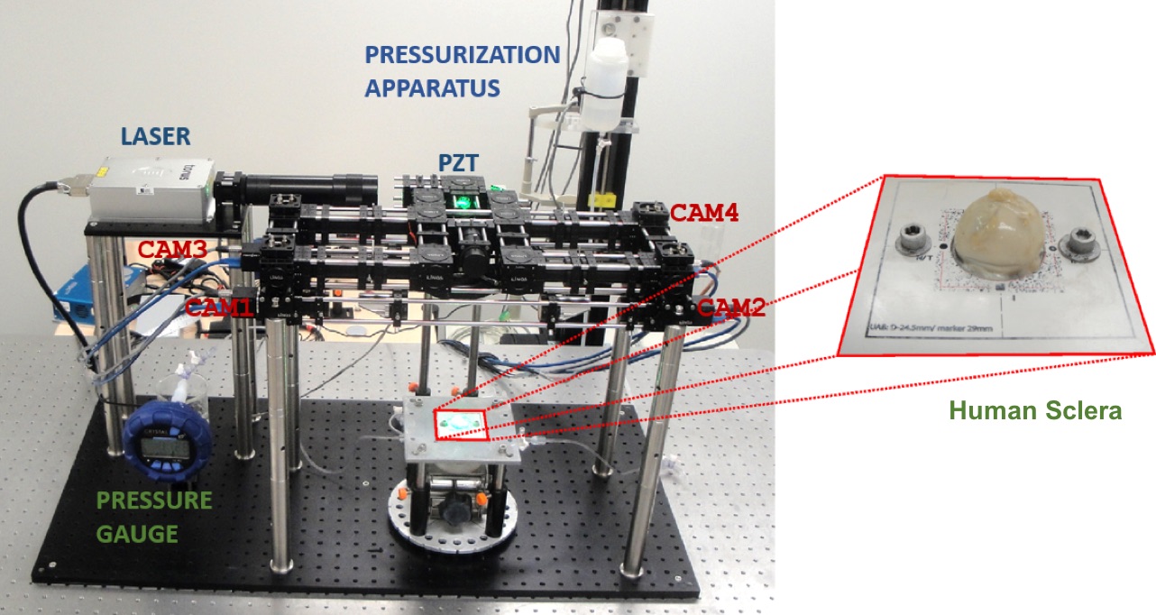 Figure11n