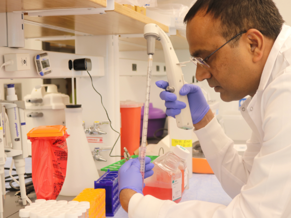 New 3,400-square-foot research space for Department of Otolaryngology facilitates study of sinus disease treatment through precision immunology