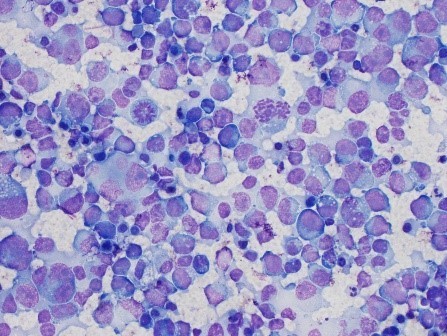 Cytopath 1