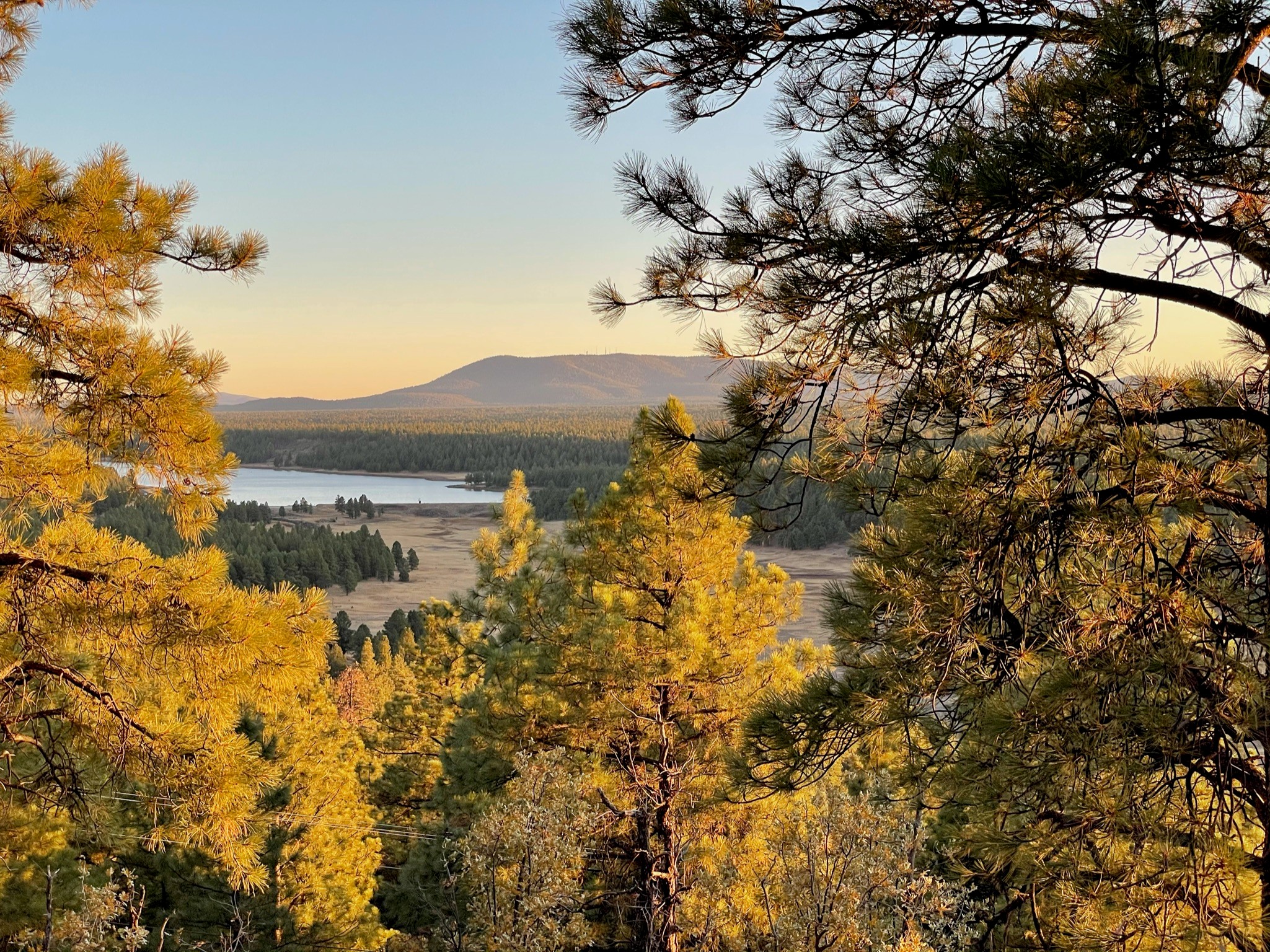 Third place Coconino National Forest