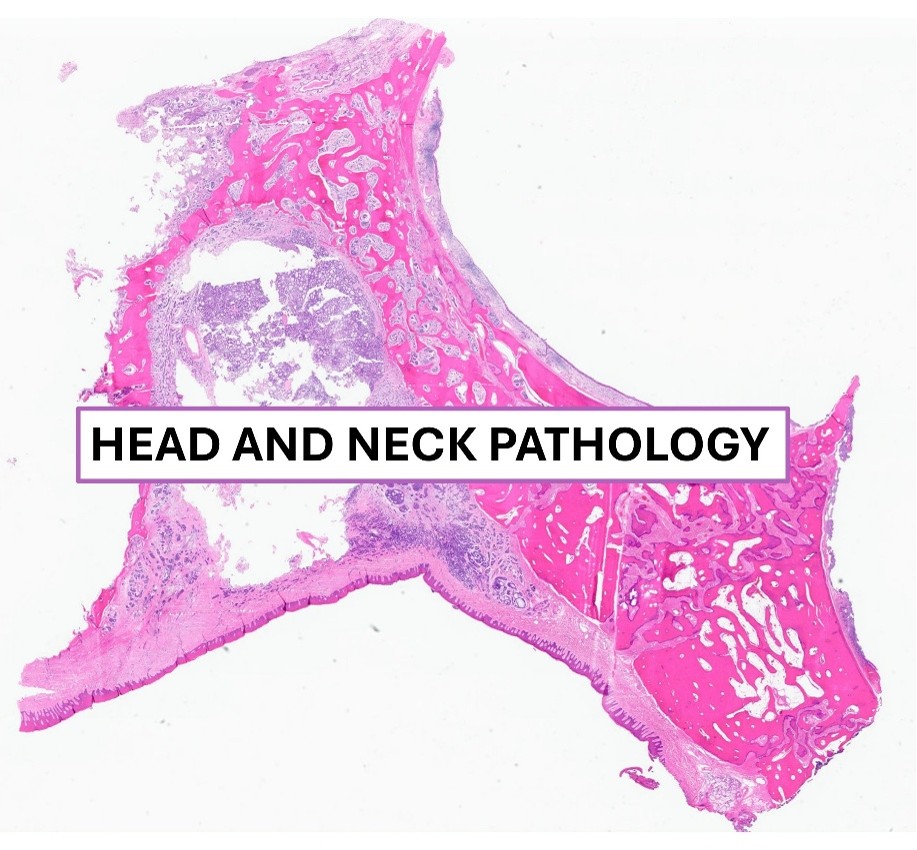 head-and-neck-pathology-fellowship-cover-image.jpg