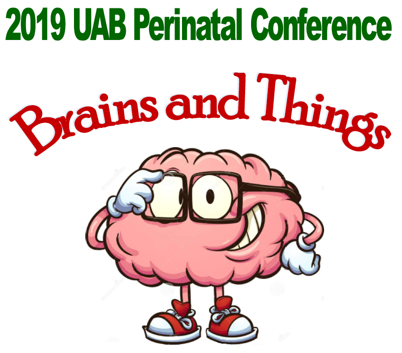 PerinatalConferenceImage2019