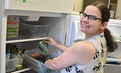 wellness refrigerators