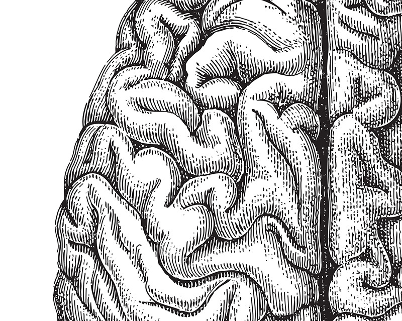 hand illustrated brain as the cover of the 2025 Annual Report