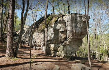 Moss Rock Preserve