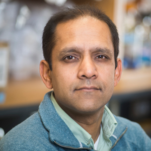 Rakesh Patel, PhD