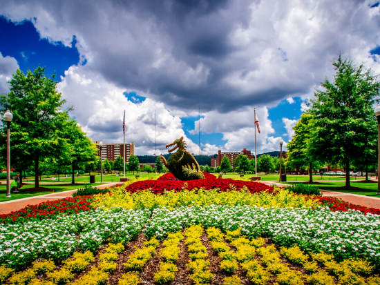 UAB Faculty Welcome