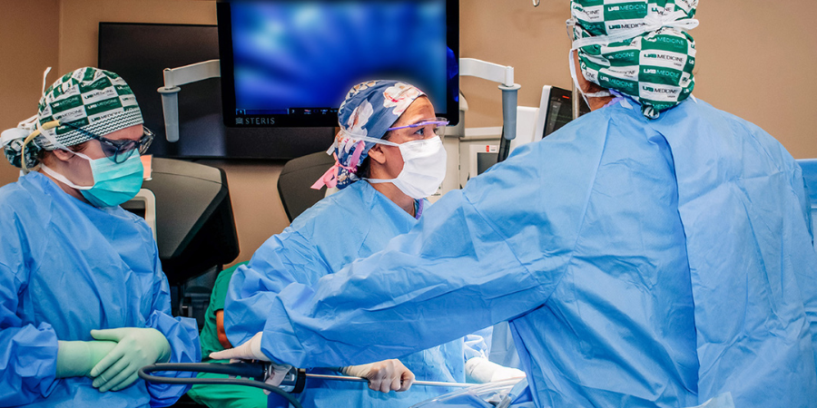 transplantation division image