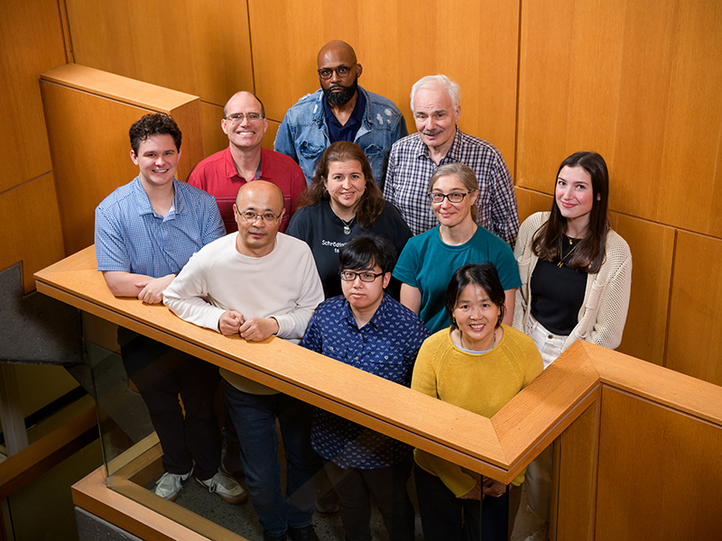 Kidney Stone Laboratory