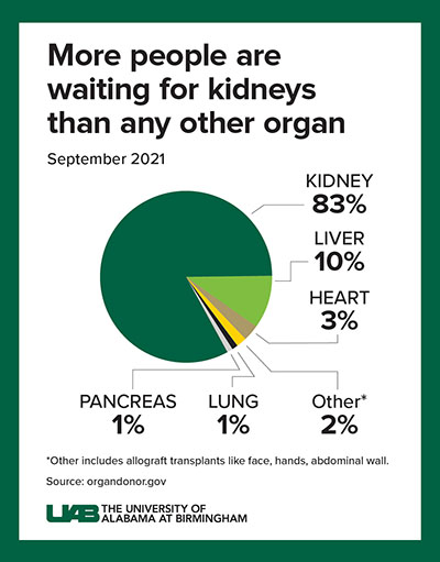 06 Wait List Organs Needed Piechart