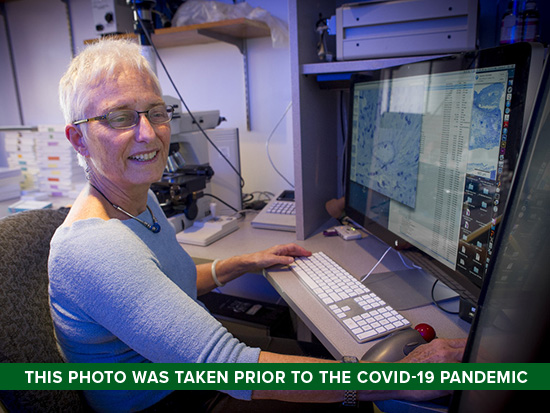 Christine Curcio, Ph.D. sitting in front of computer in lab. 