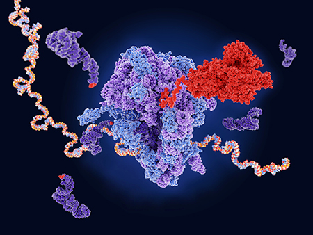 Close up of molecule